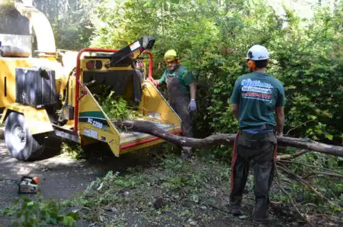 tree services West Lebanon